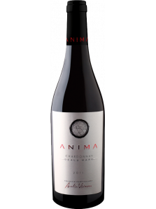 Anima Sauvignon Blanc Fume 2017 | Aurelia Visinescu | Dealu Mare